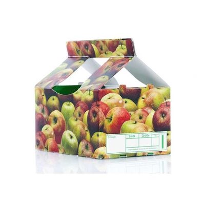 点検品質管理機械を印刷するカートンによってフルーツ及び野菜包装
